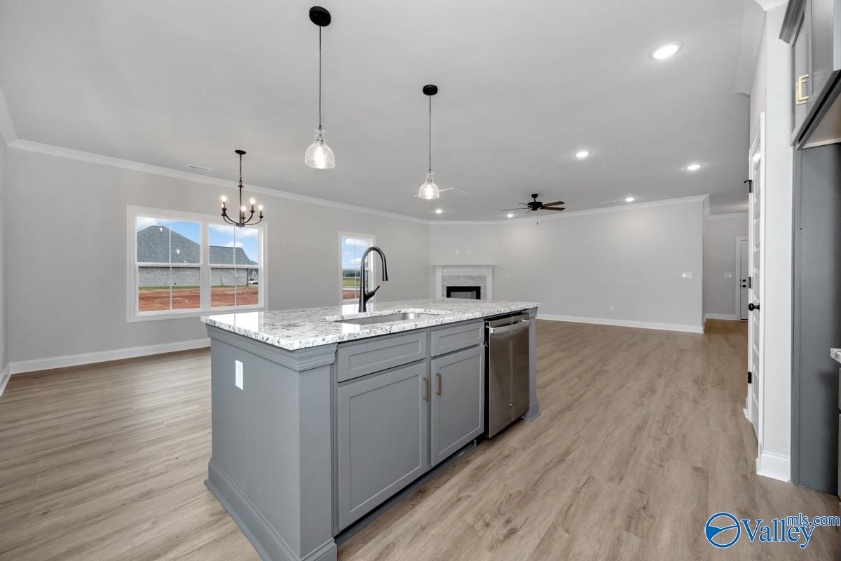 100 Alton Dale Drive, Toney, Alabama image 21