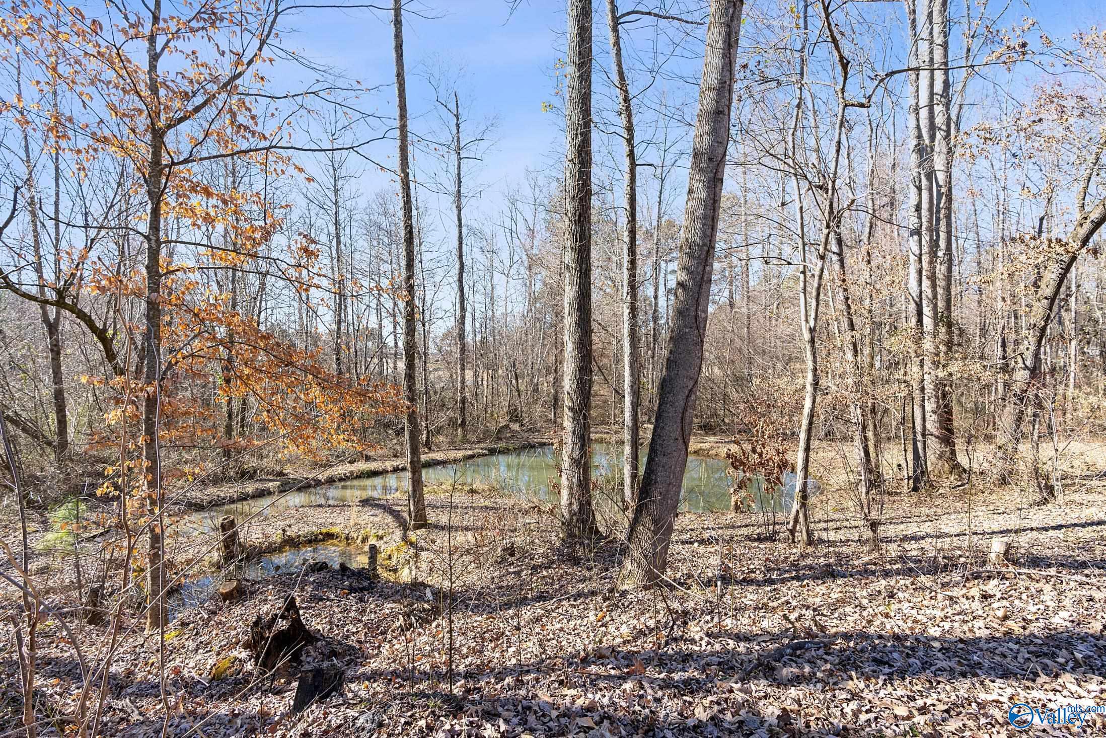 111 Memory Lane, Harvest, Alabama image 38