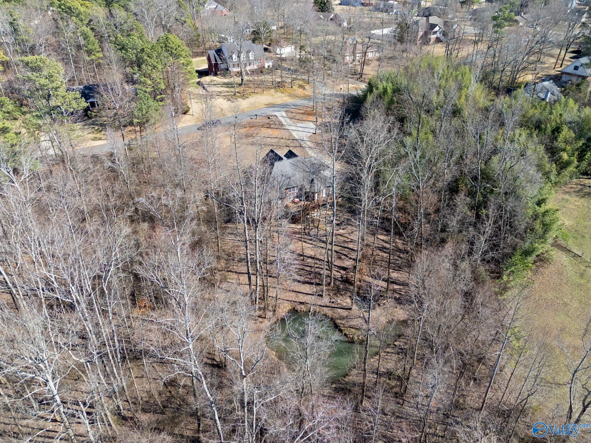 111 Memory Lane, Harvest, Alabama image 44