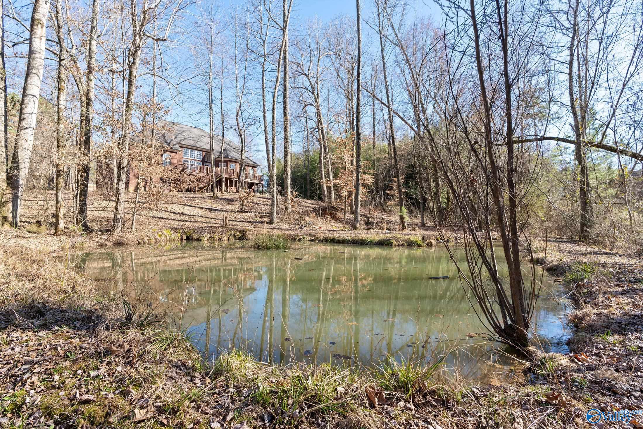 111 Memory Lane, Harvest, Alabama image 39