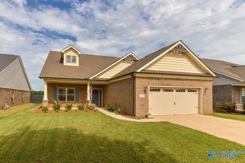 43 Dylan Road Madison AL 35756