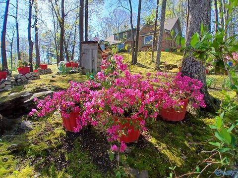 Photo of 3702 Montevallo Road SW, Decatur, AL 35603 (MLS # 21911812)