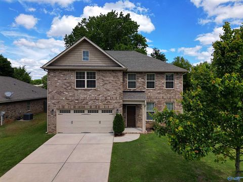 Homes For Sale - 114 Summer Pointe Lane<br/> Madison, AL 35757