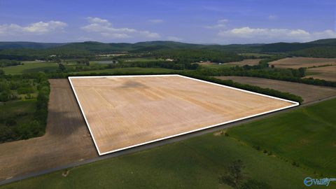 Vacant Land For Sale - 38 ACRES Thomas Lane<br/> Grant, AL 35747