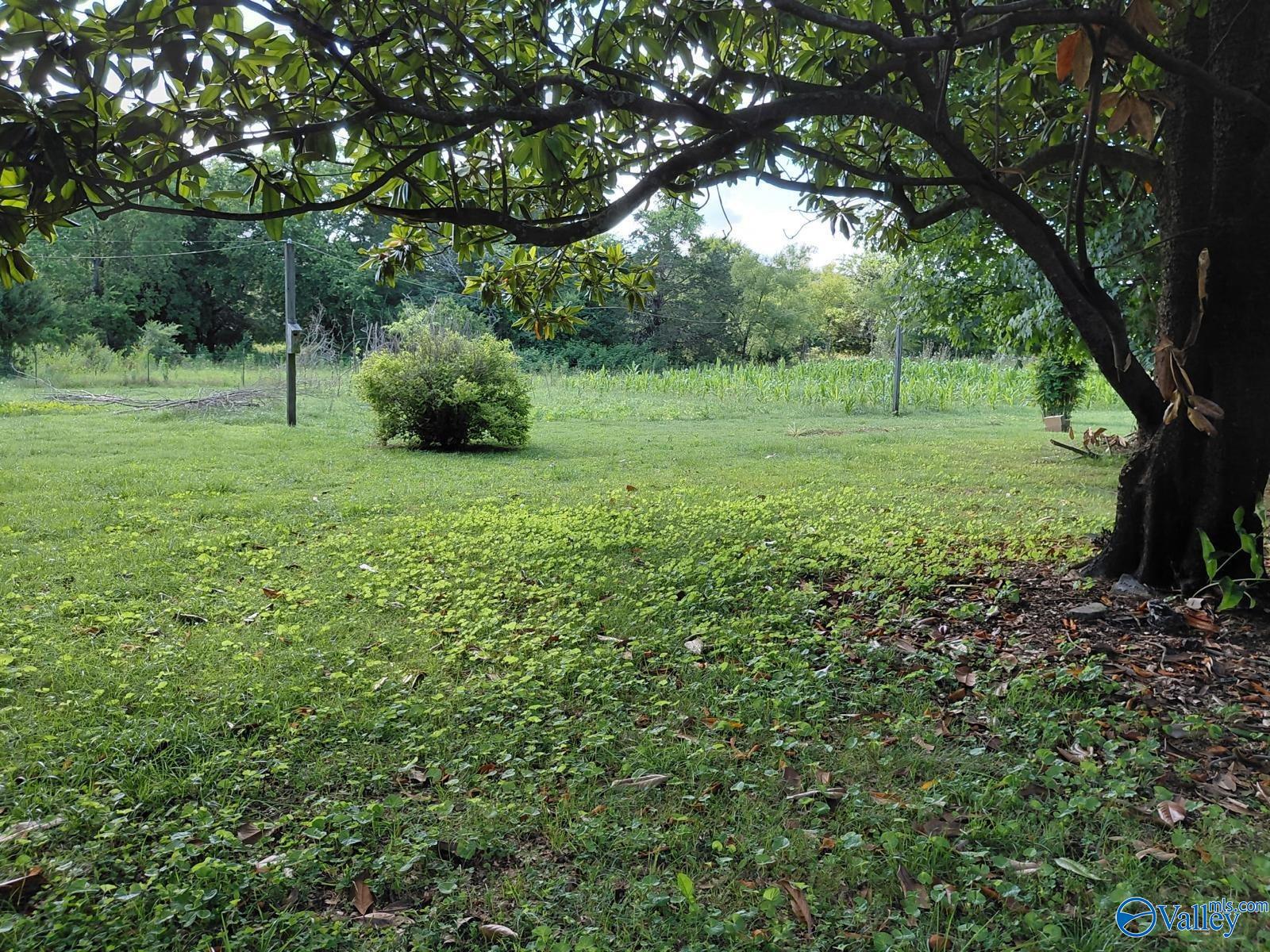 939 County Road 177, Moulton, Alabama image 28