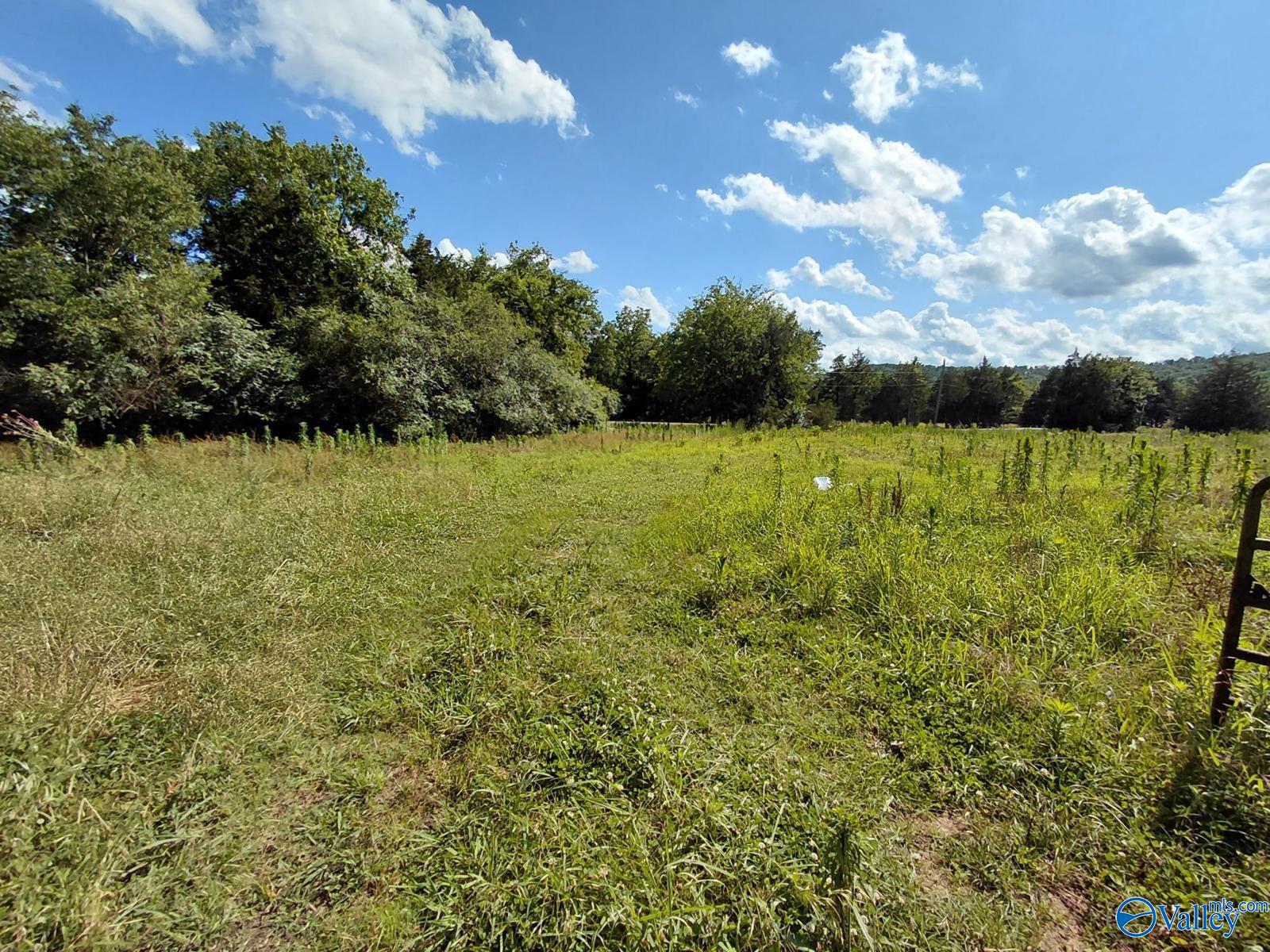 939 County Road 177, Moulton, Alabama image 29