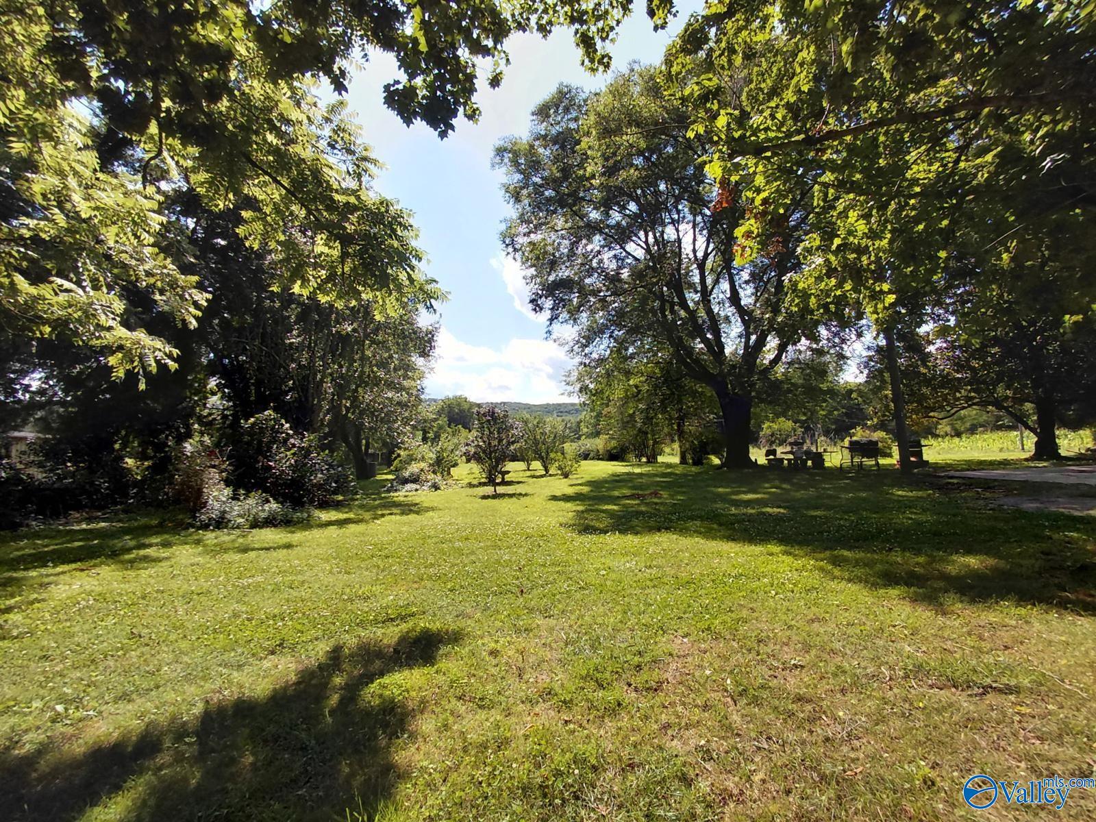 939 County Road 177, Moulton, Alabama image 22