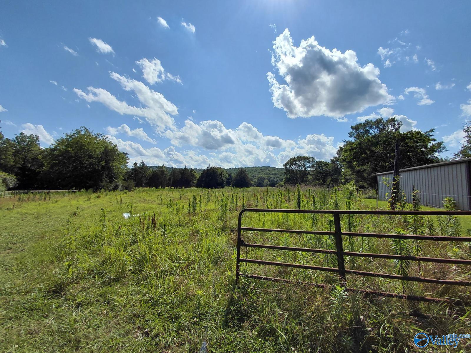 939 County Road 177, Moulton, Alabama image 24