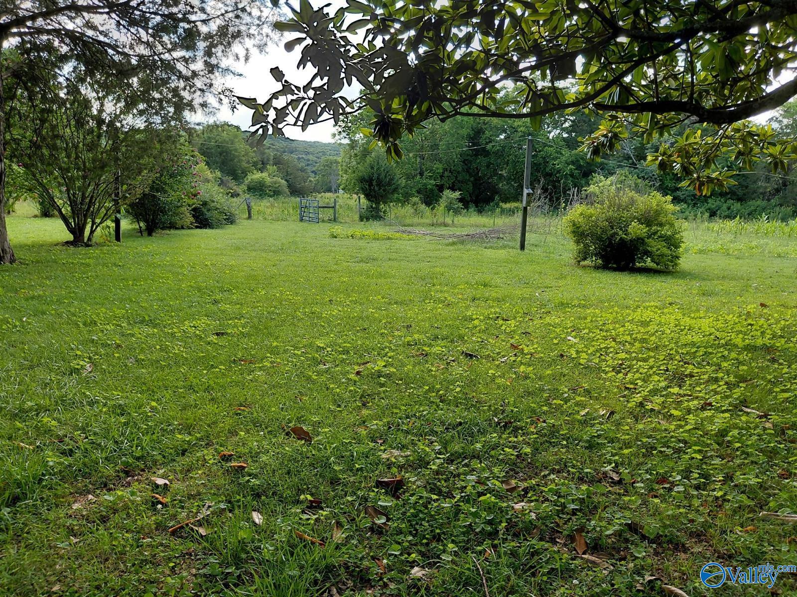 939 County Road 177, Moulton, Alabama image 27