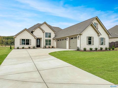 17205 Blue Briar Circle Athens AL 35611