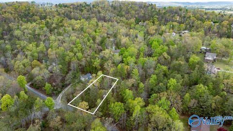 Vacant Land For Sale - LOT 62 Dianne Avenue<br/> Etowah County, Southside, AL 35907