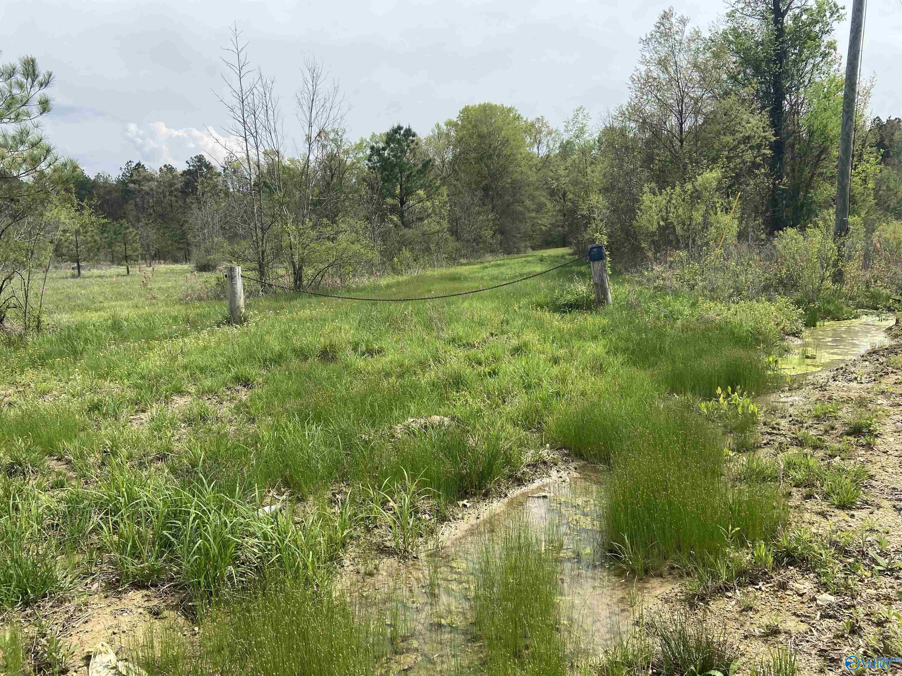 38.1 Acres Herb Collete Drive, Steele, Alabama image 2