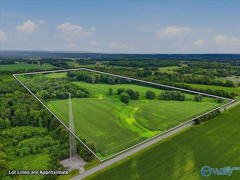 Vacant Land For Sale - 80 New Cut Road<br/> Athens, AL 35611