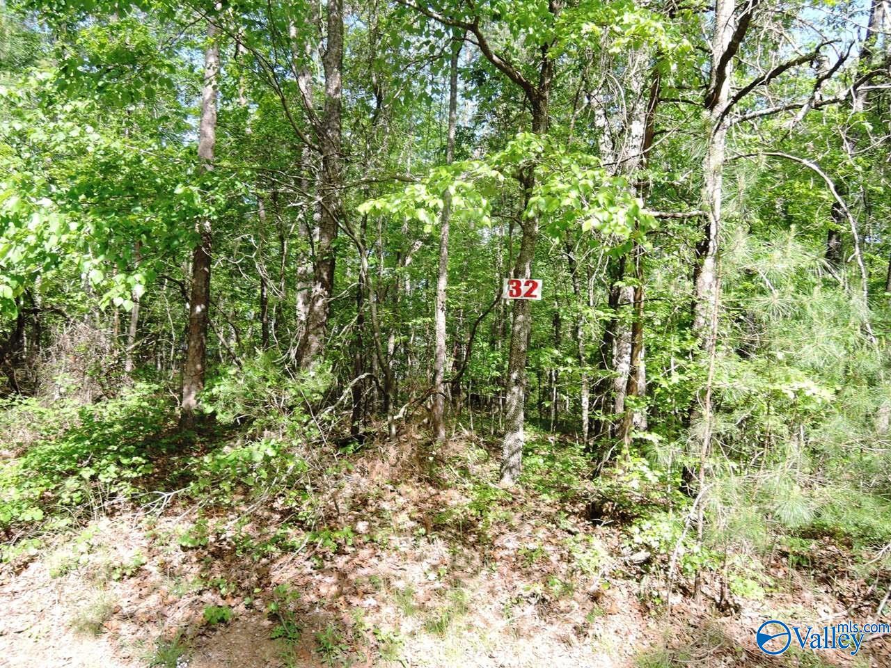 Lot 51 Harbor Loop, Jasper, Alabama image 3