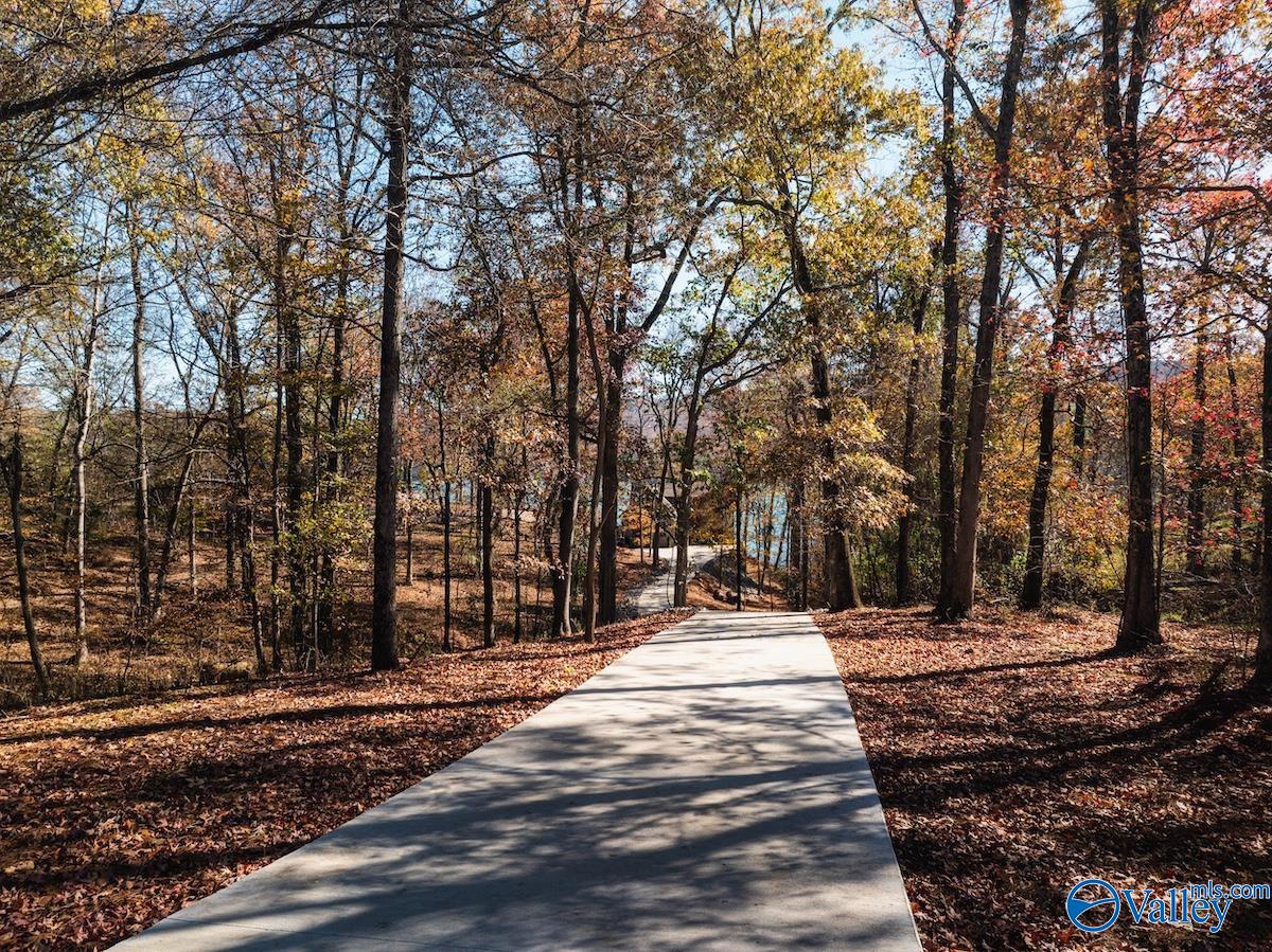 2231 Lookout Mountain Drive, Scottsboro, Alabama image 8