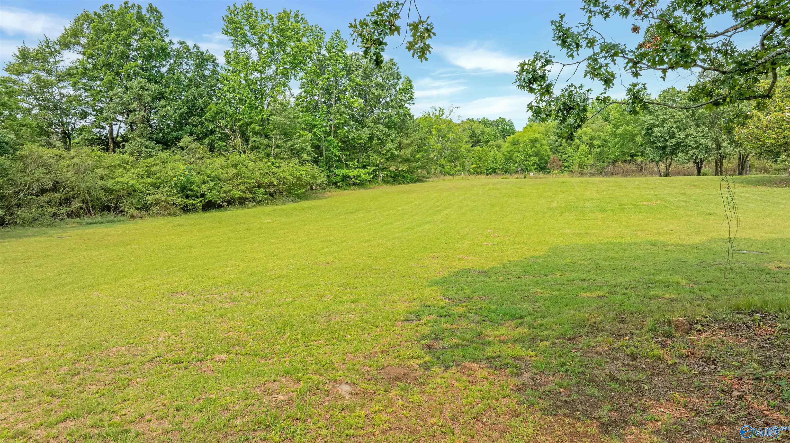 2.5 Acres County Road 272, Fort Payne, Alabama image 17