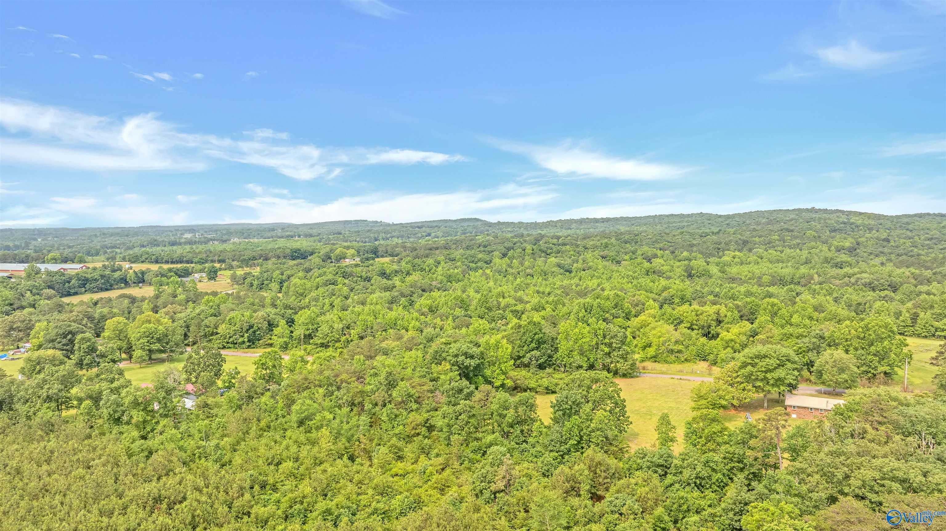 2.5 Acres County Road 272, Fort Payne, Alabama image 11