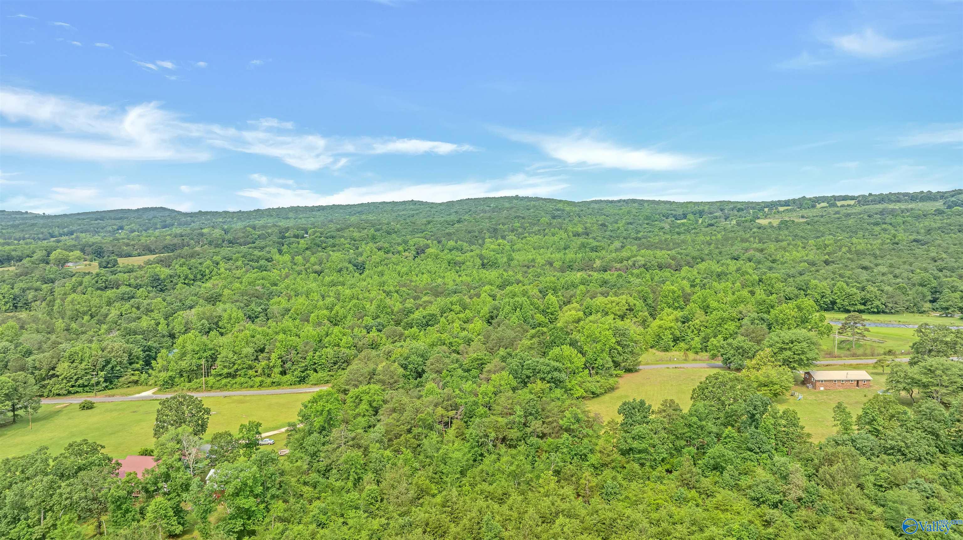 2.5 Acres County Road 272, Fort Payne, Alabama image 8