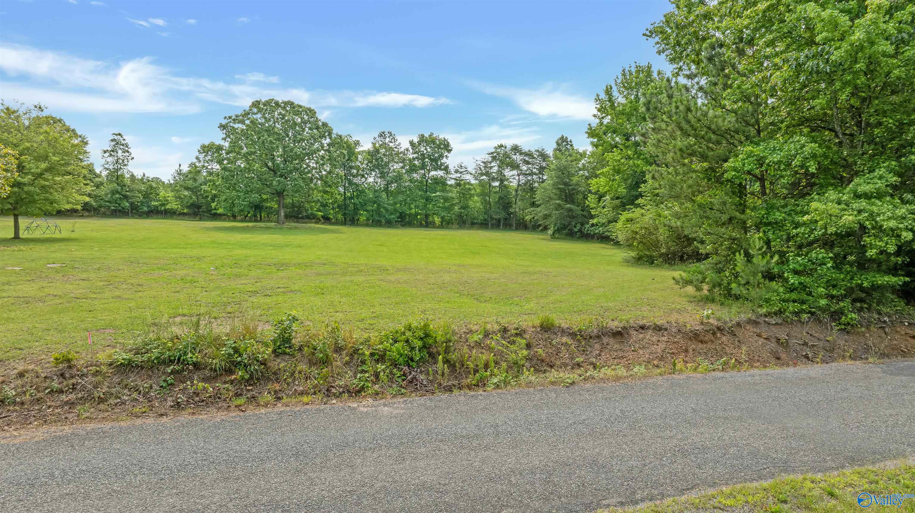 2.5 Acres County Road 272, Fort Payne, Alabama image 15