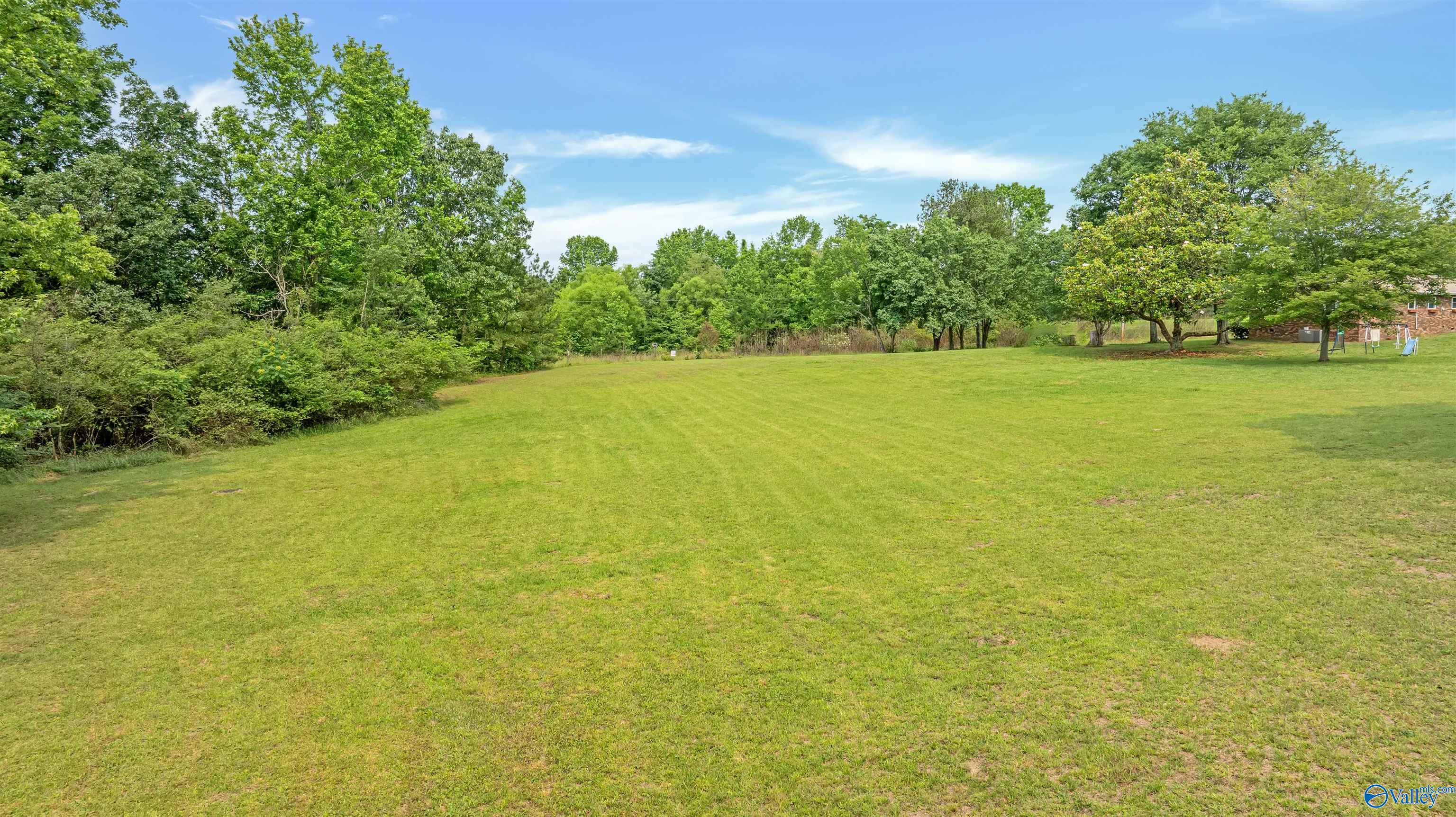2.5 Acres County Road 272, Fort Payne, Alabama image 18
