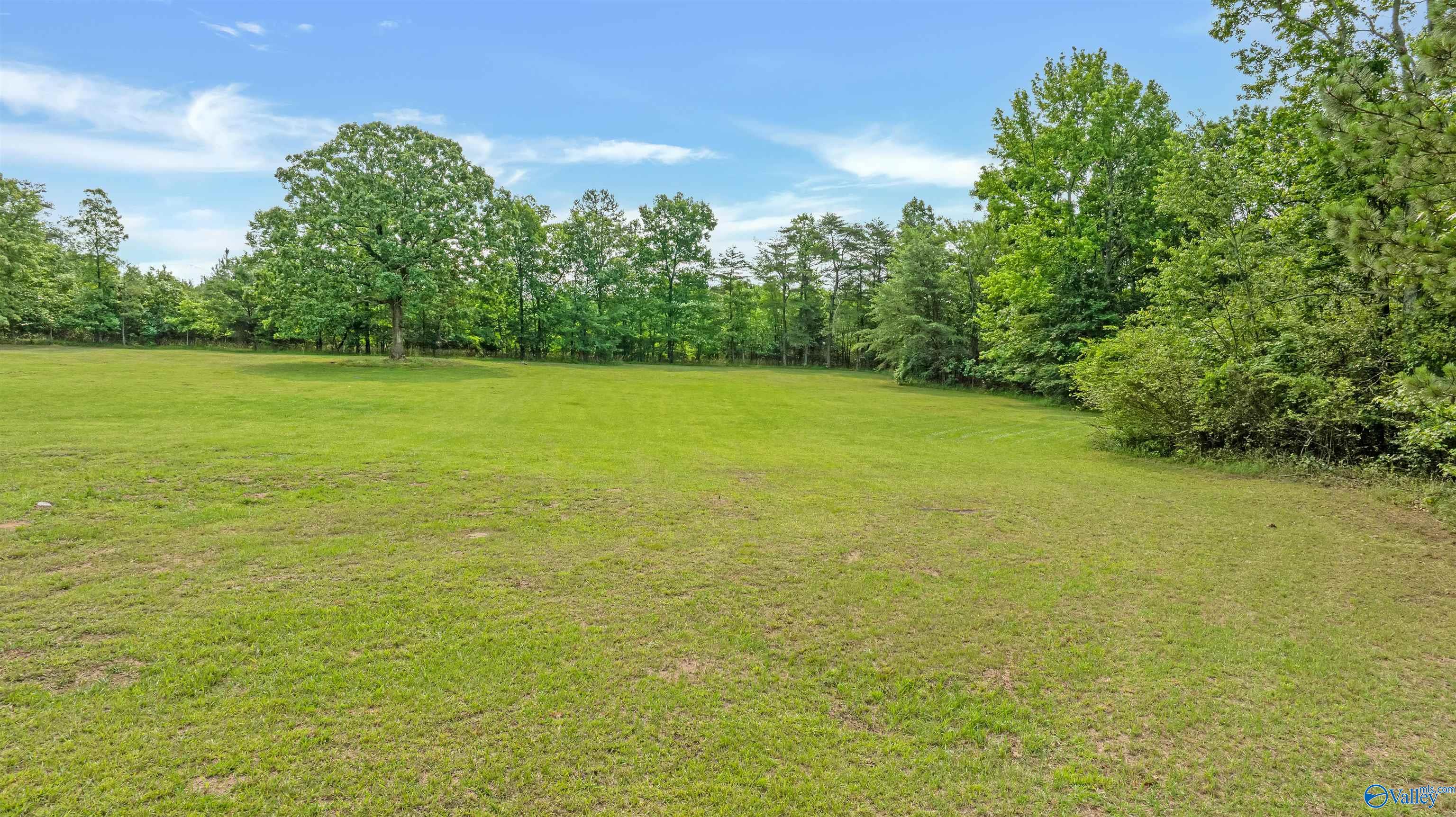 2.5 Acres County Road 272, Fort Payne, Alabama image 16