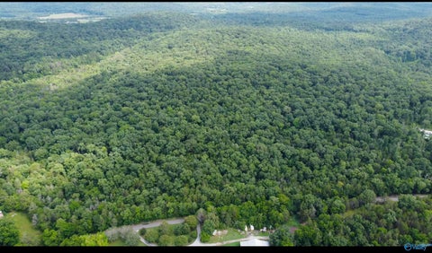 Vacant Land For Sale - 15 ACRES Mill Road<br/> Woodville, AL 35776