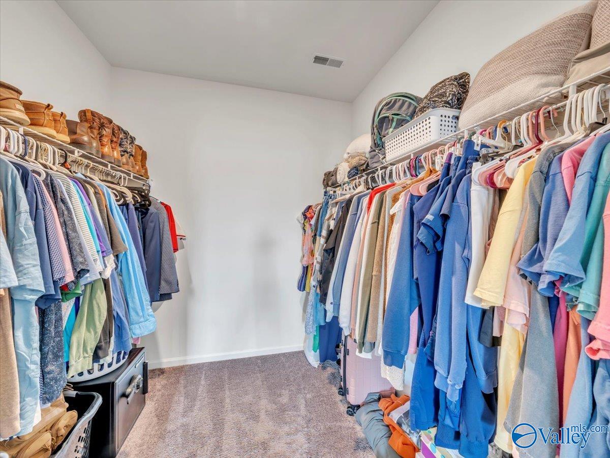 114 Emma Grace Lane, New Market, Alabama image 22