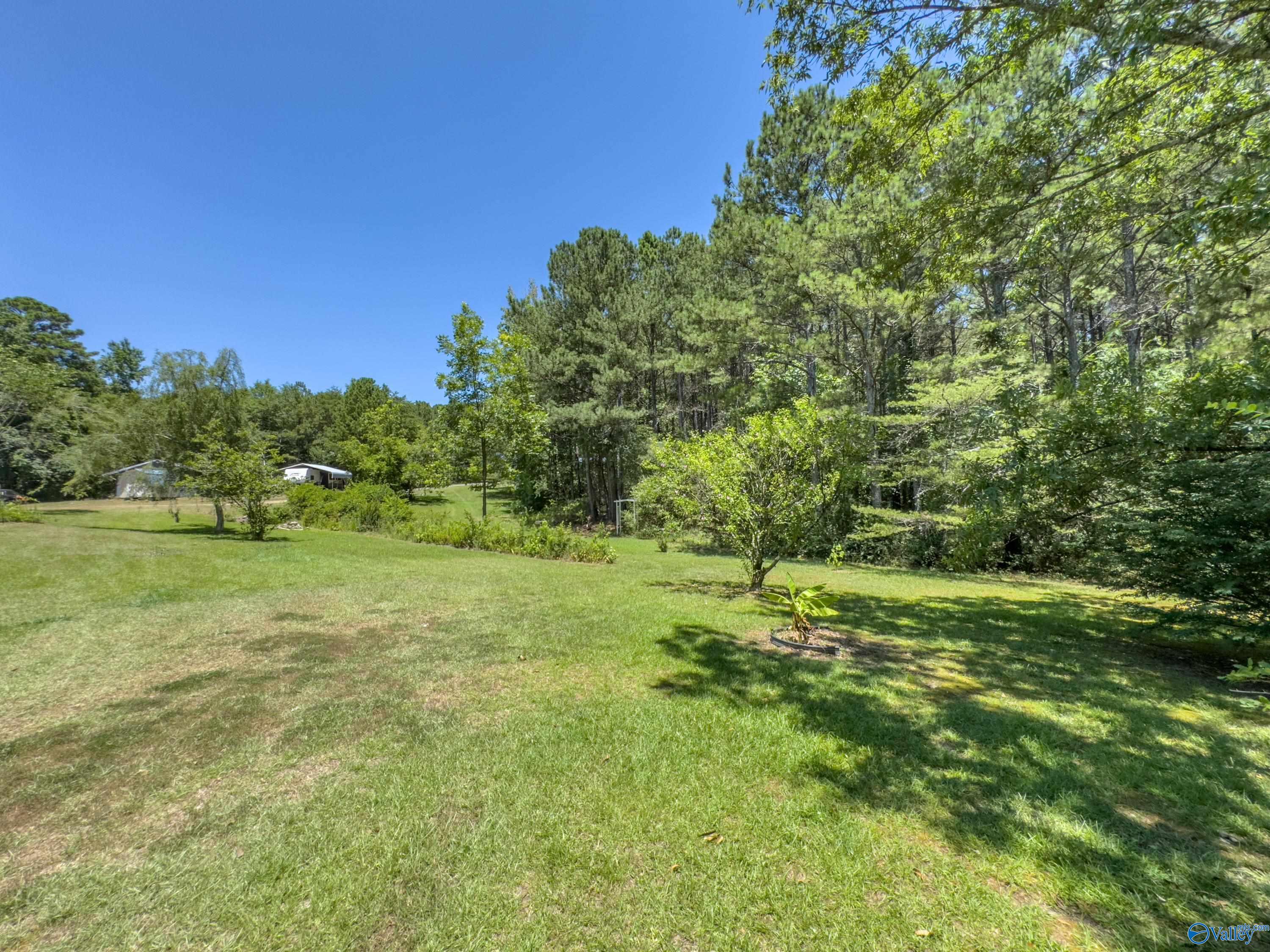 251 Winding Brook Drive, Guntersville, Alabama image 6