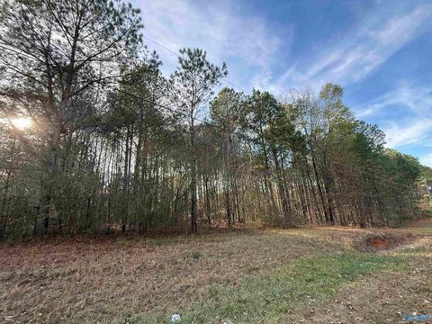 Homes For Sale - LOT 19 Sweetwater Lane<br/> Rainbow City, AL 35906