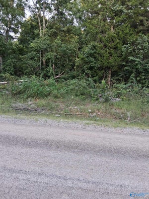 2.0 ACRES COUNTY ROAD 84, DANVILLE, AL 35619 - Image 492e8345075ee65fdb9f03600f368d18/3925057859