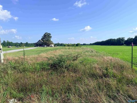 Vacant Land For Sale - TRACT C Quinn Road<br/> Athens, AL 35611