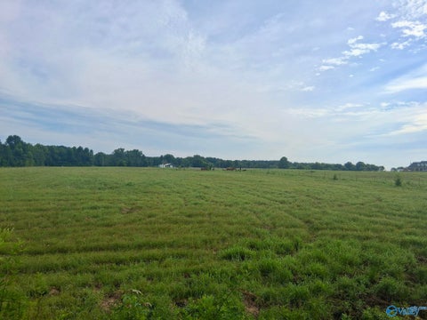Vacant Land For Sale - 6 ACRES Columbus City Road<br/> Grant, AL 35747