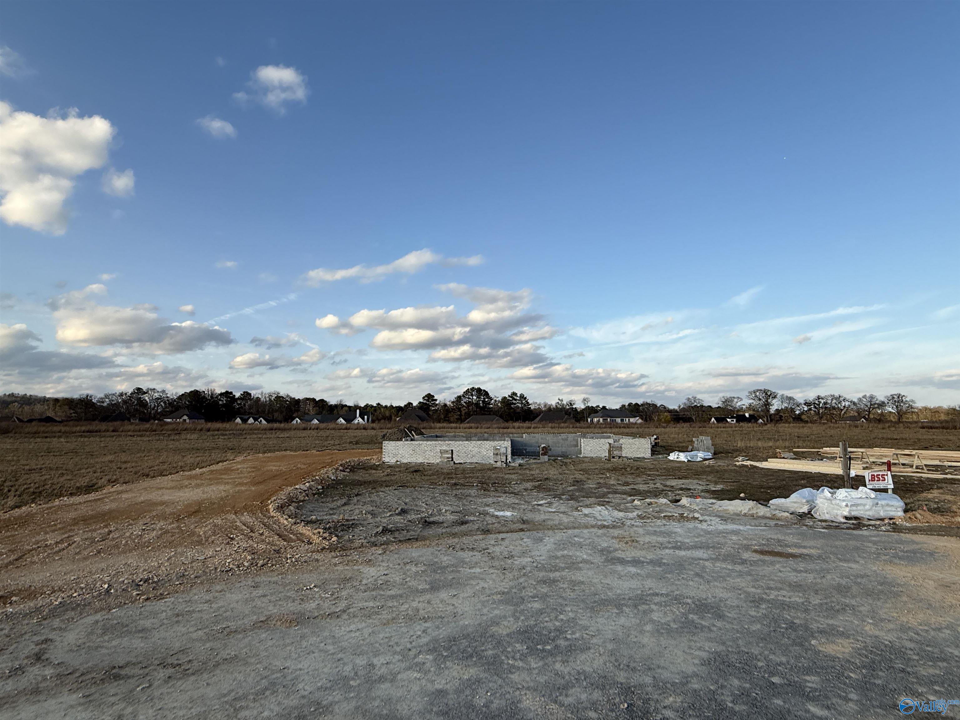 305 Bent River Drive, Gadsden, Alabama image 4