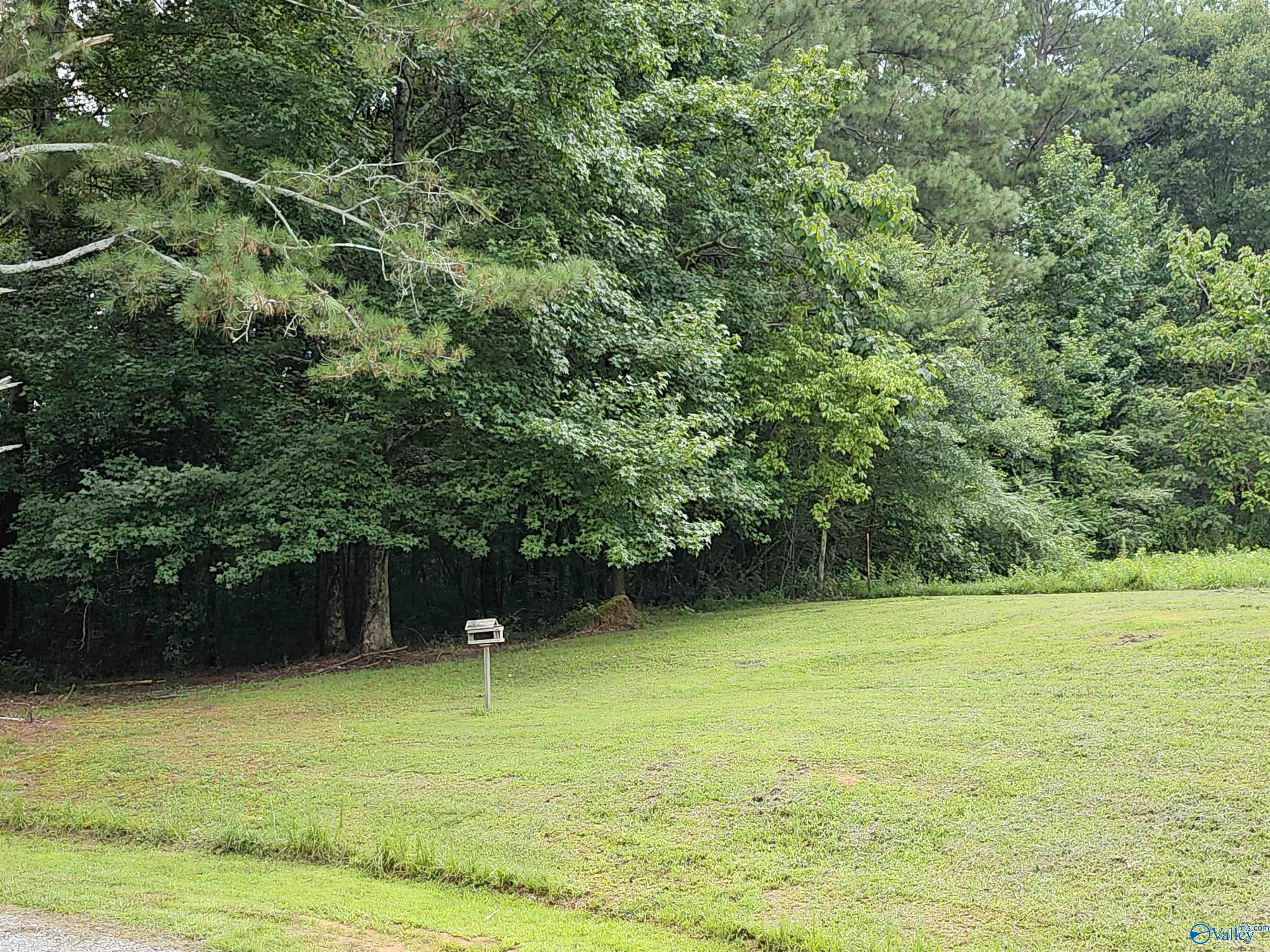 725 Holmes Road, Falkville, Alabama image 13