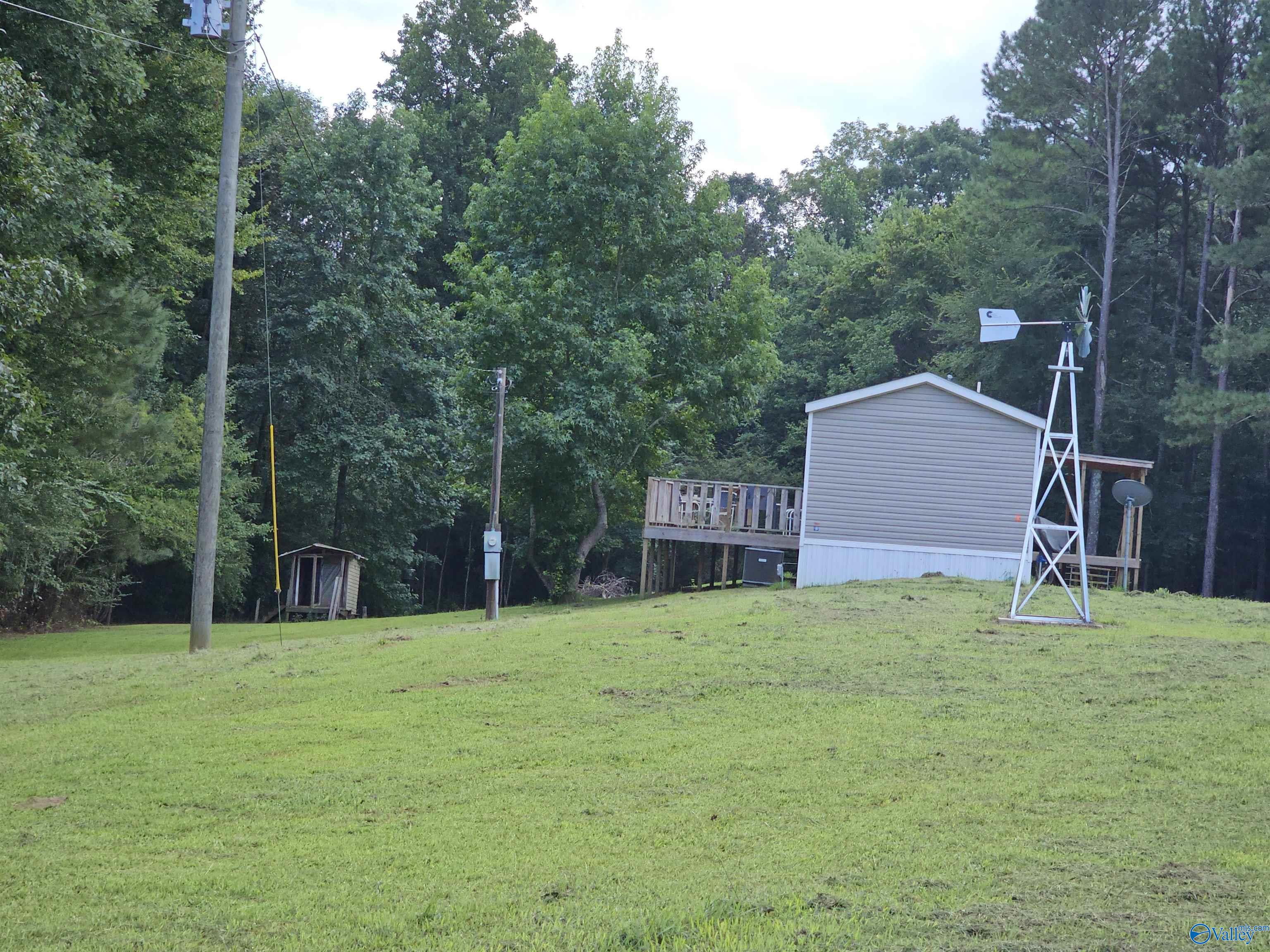 725 Holmes Road, Falkville, Alabama image 4