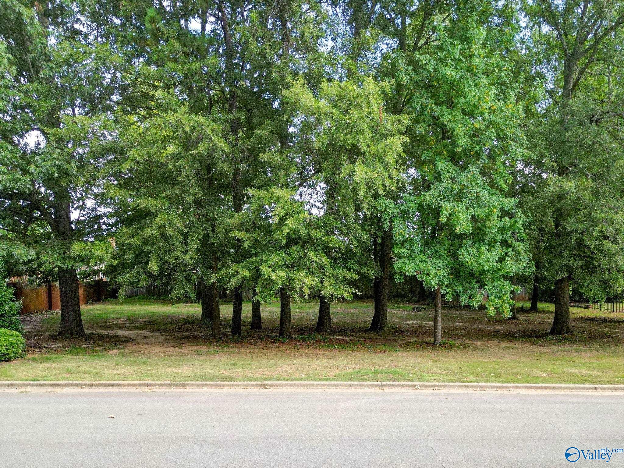 Lot 12 Jarvis Street, Decatur, Alabama image 1