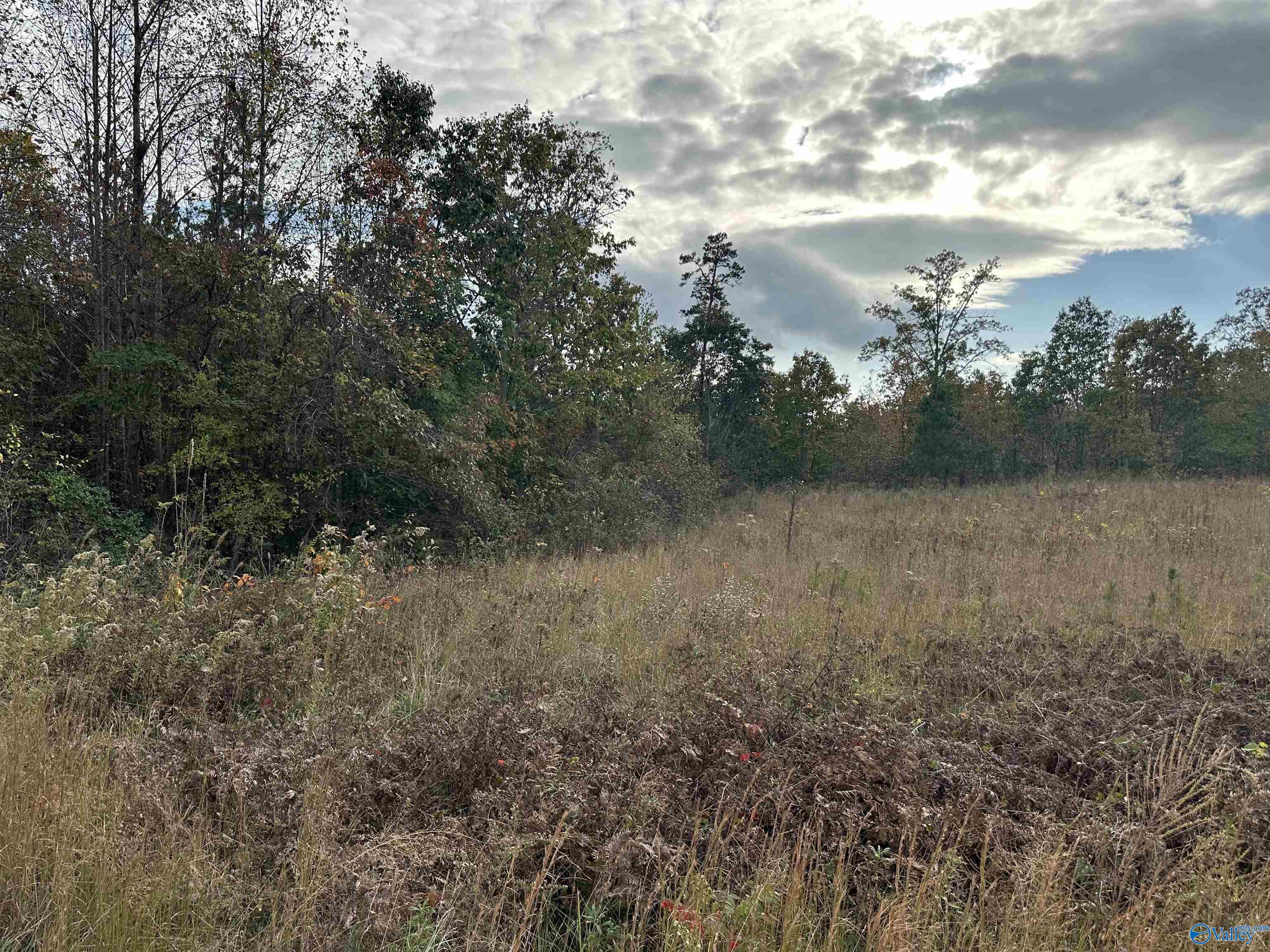 2.50 Ac County Road 681, Flat Rock, Alabama image 2