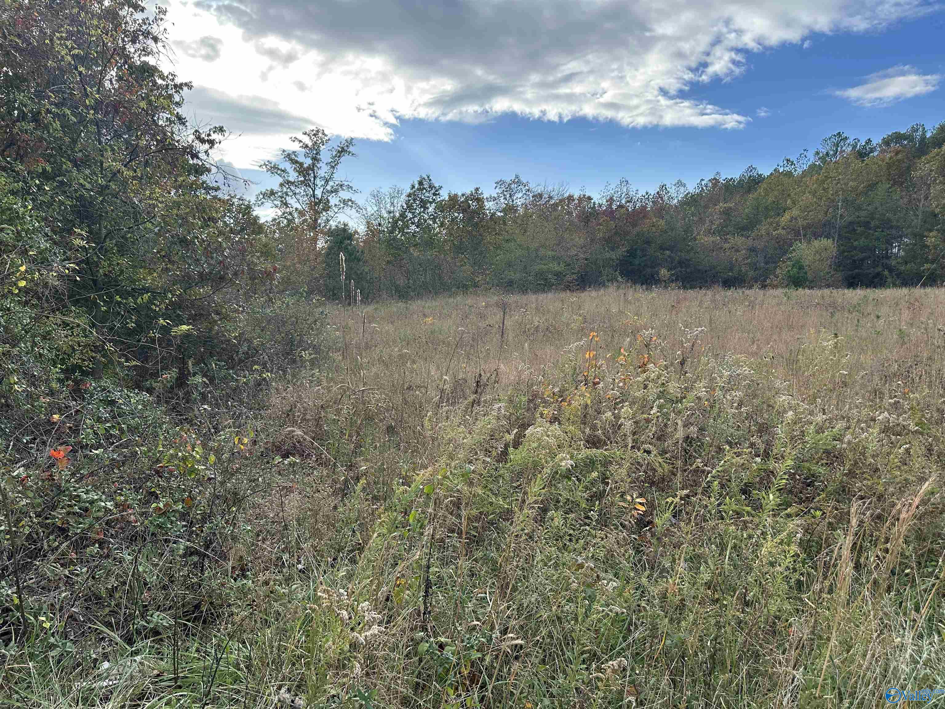 2.50 Ac County Road 681, Flat Rock, Alabama image 1