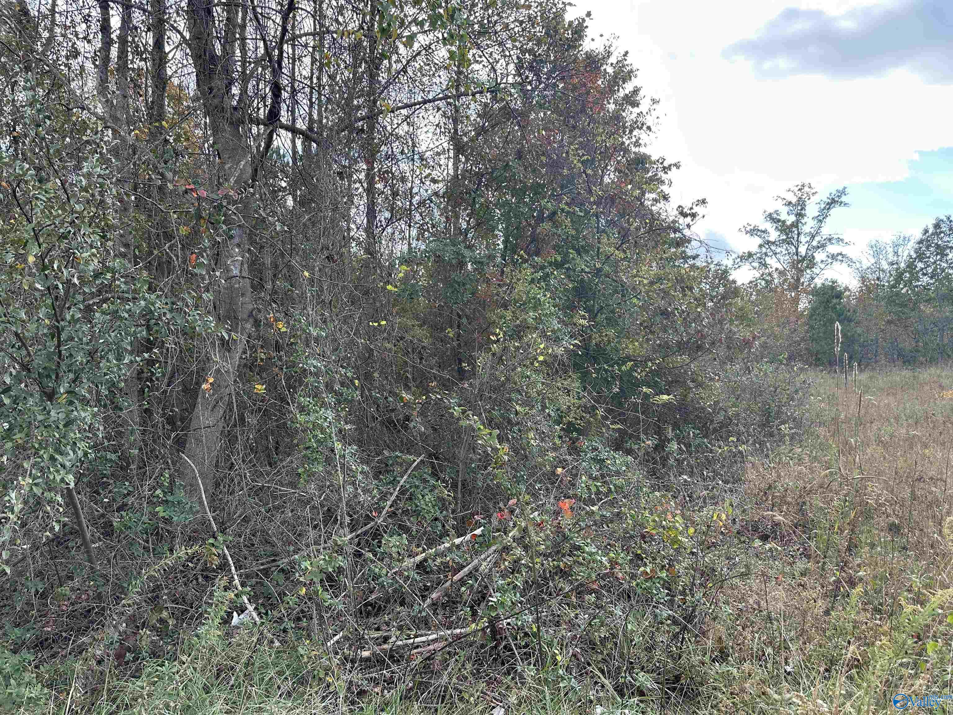 2.50 Ac County Road 681, Flat Rock, Alabama image 3