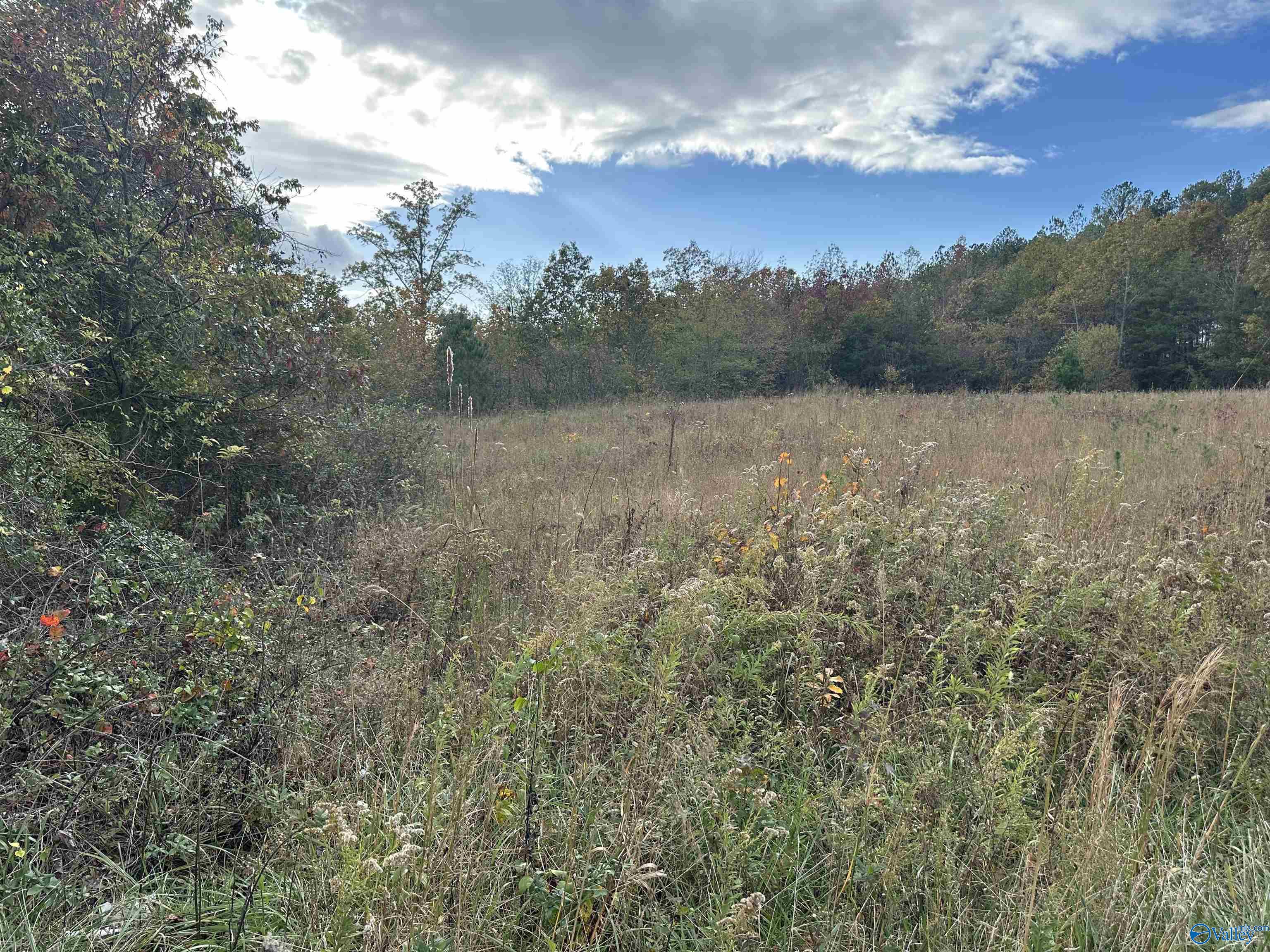 2.50 Ac County Road 681, Flat Rock, Alabama image 4