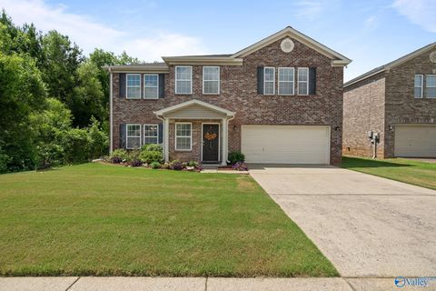 Homes For Sale - 222 Laramie Circle<br/> Madison, AL 35757