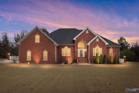 Photo of 87 Forest Home Drive, Trinity, AL 35673 (MLS # 21905265)