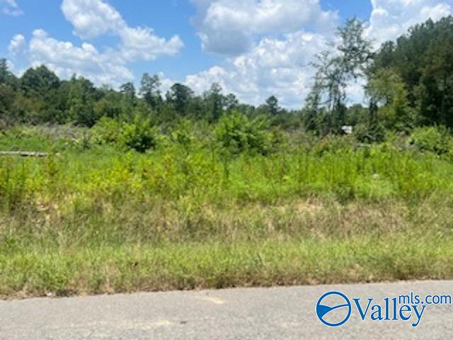 Lot 21 County Road 113