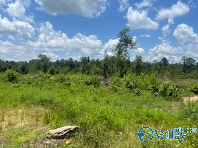 Lot 21 County Road 113