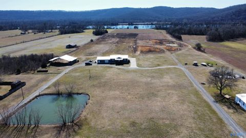 Photo of 300 Willie Lemley Road, Huntsville, AL 35803 (MLS # 21910797)