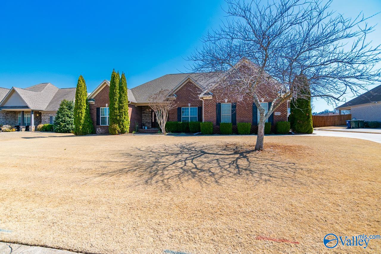 105 Allen Cove Drive, Meridianville, Alabama image 4