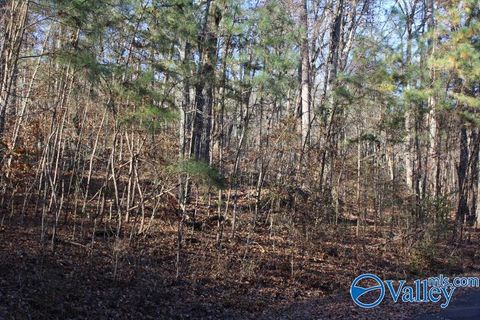 Vacant Land For Sale - 404 Tomahawk Circle<br/> Guntersville, AL 35976