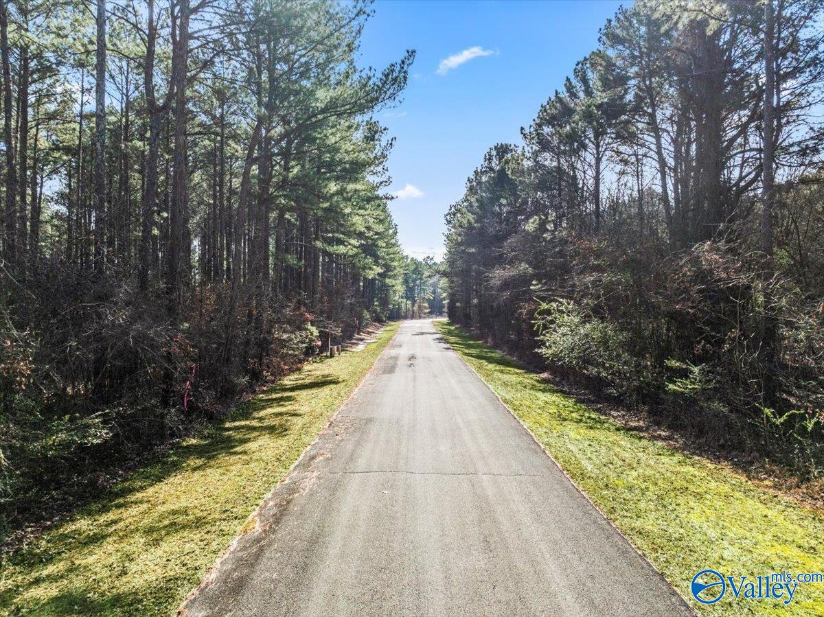 630 John Cabaniss Road, Langston, Alabama image 10