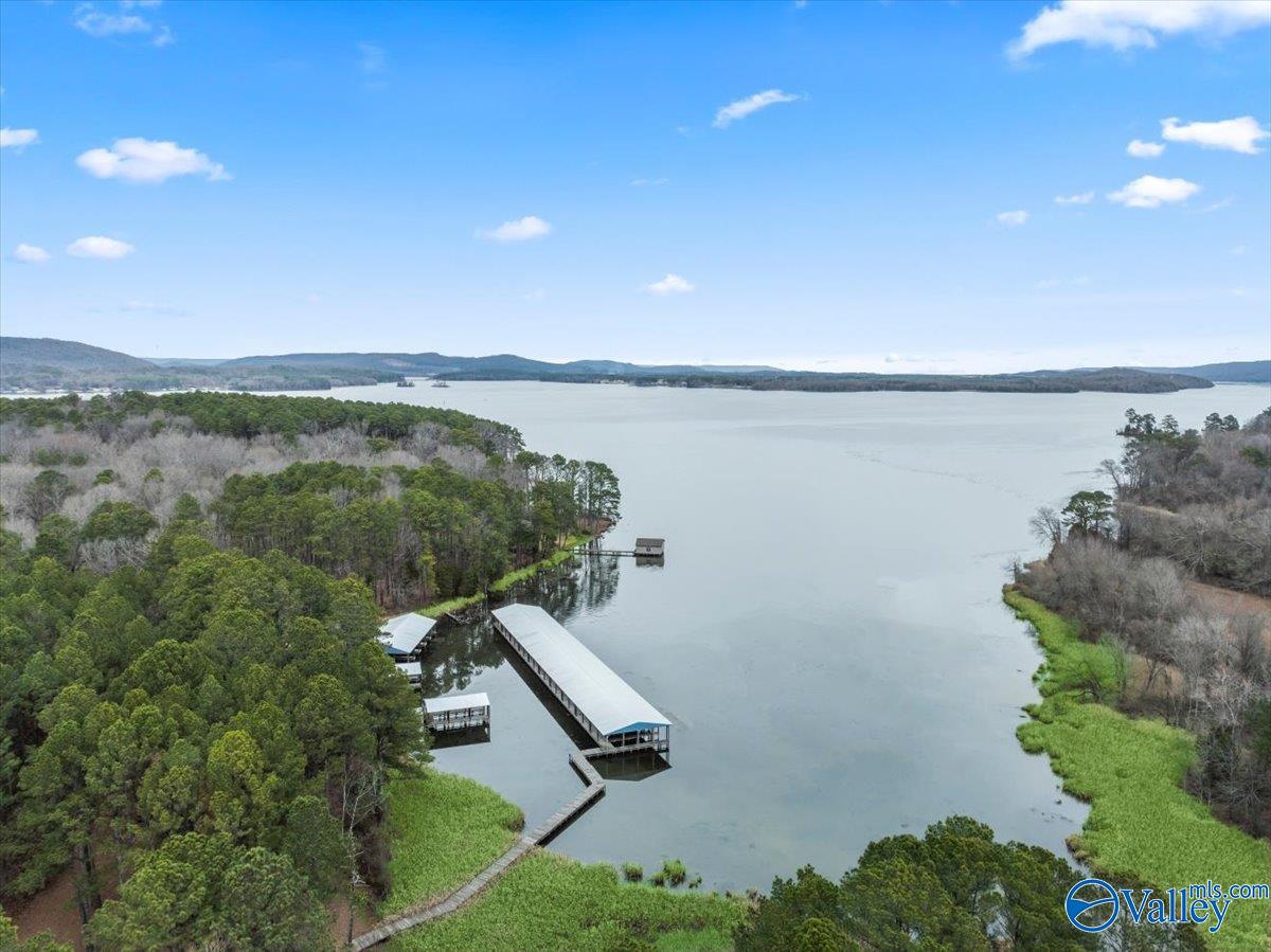 630 John Cabaniss Road, Langston, Alabama image 4