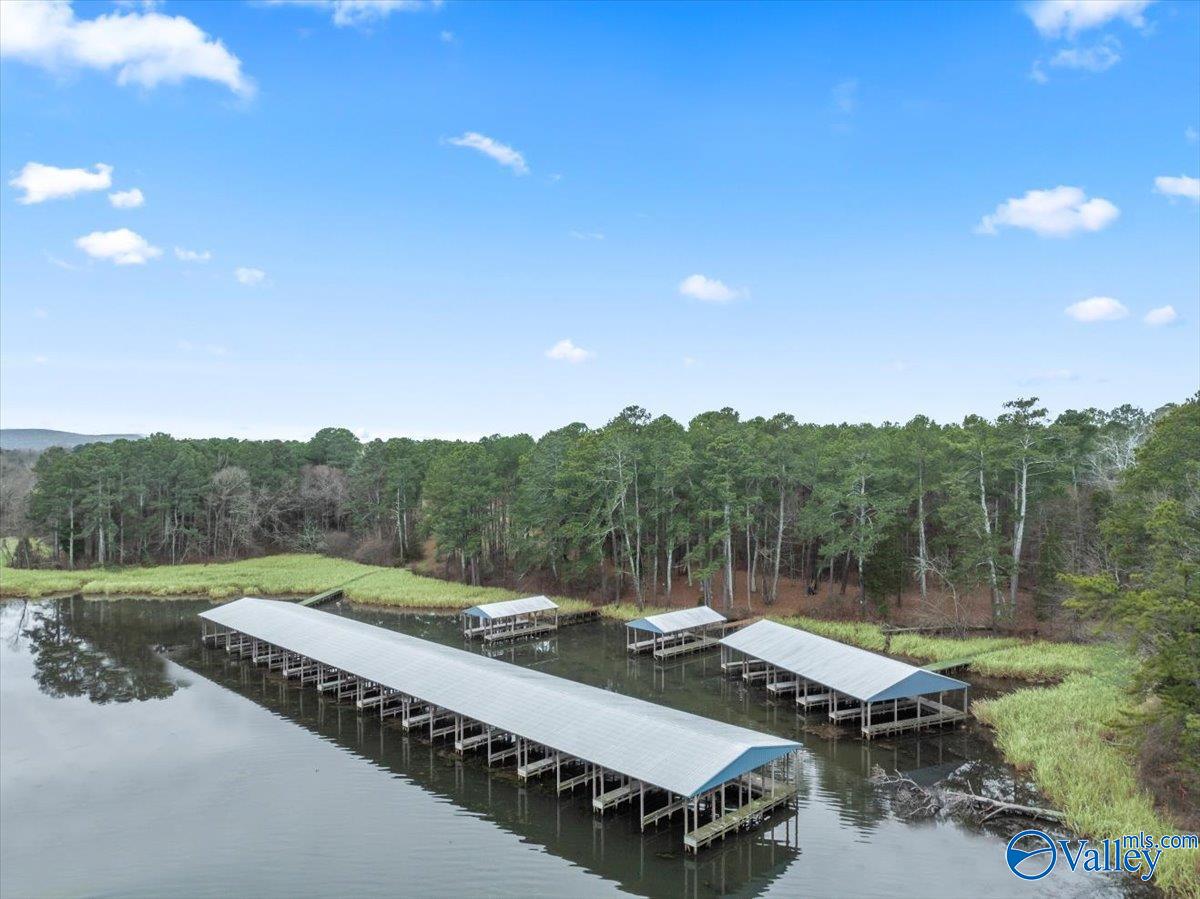 630 John Cabaniss Road, Langston, Alabama image 2